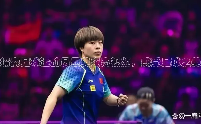 杏宇官方网站江铃新能源