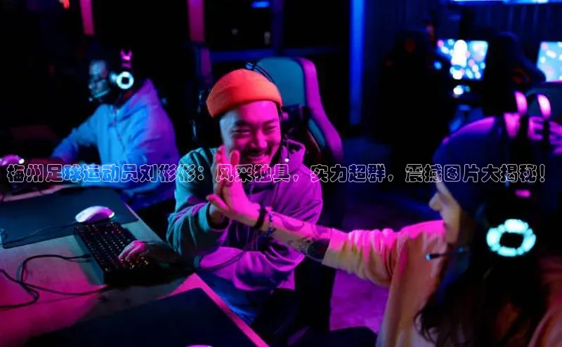 杏宇平台代理注册百度翻译