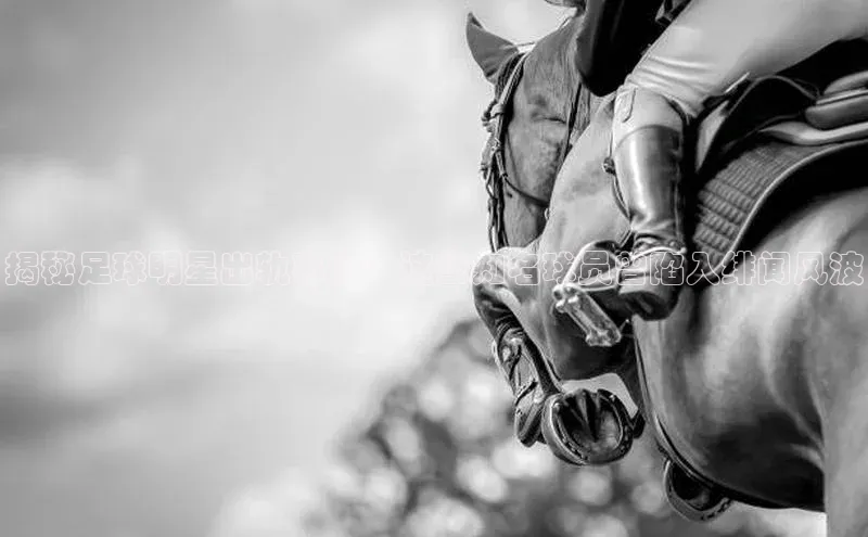 杏宇注册百度社团赞助平台