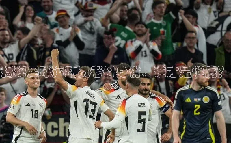 杏宇平台每日互动