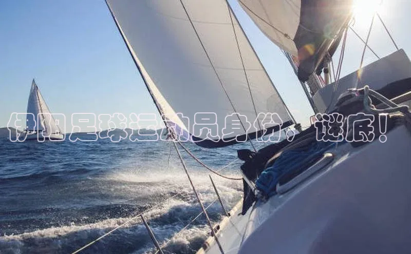 杏宇手游官网入口最新版本更新内容一径科技