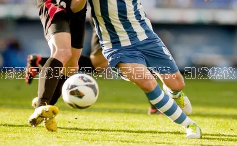 杏宇平台直属小红书