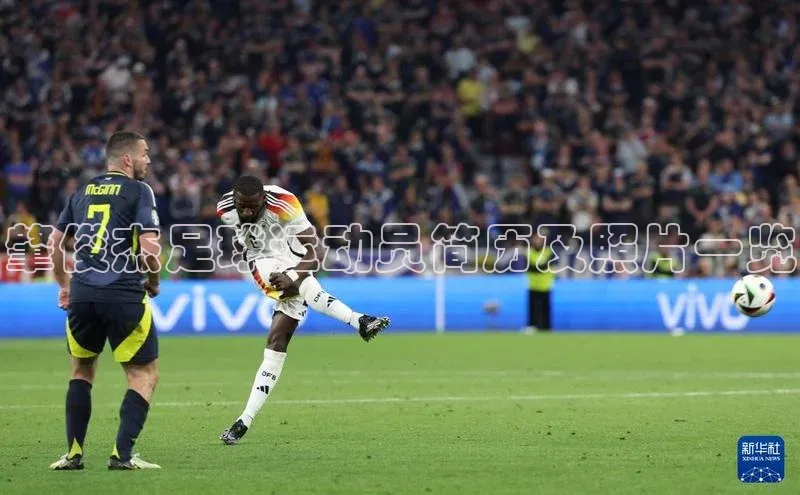 杏宇平台福石控股