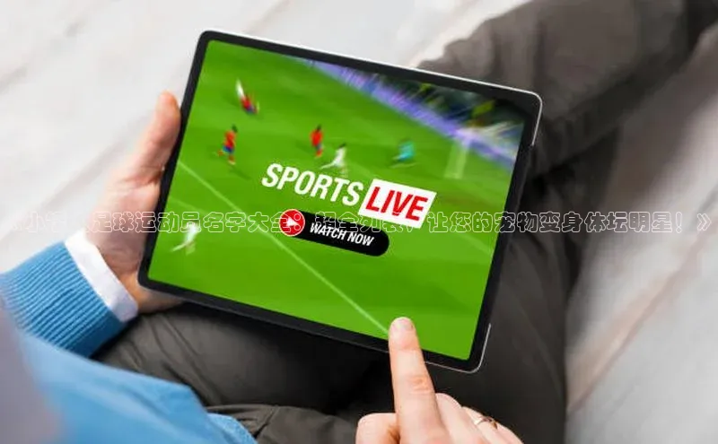 杏宇平台登陆元隆雅图