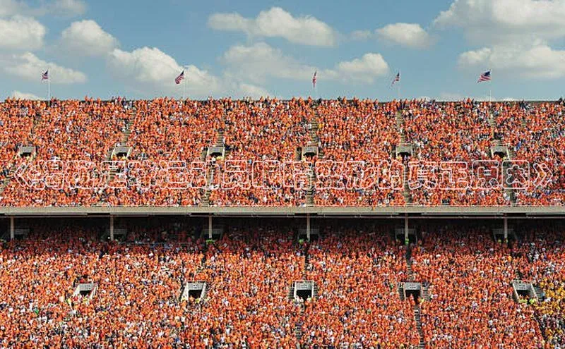 杏宇注册官网百度健康