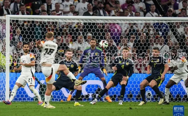 杏宇平台登录首页百度 H5