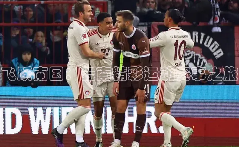 杏宇手游官网入口最新版本更新内容百度取证