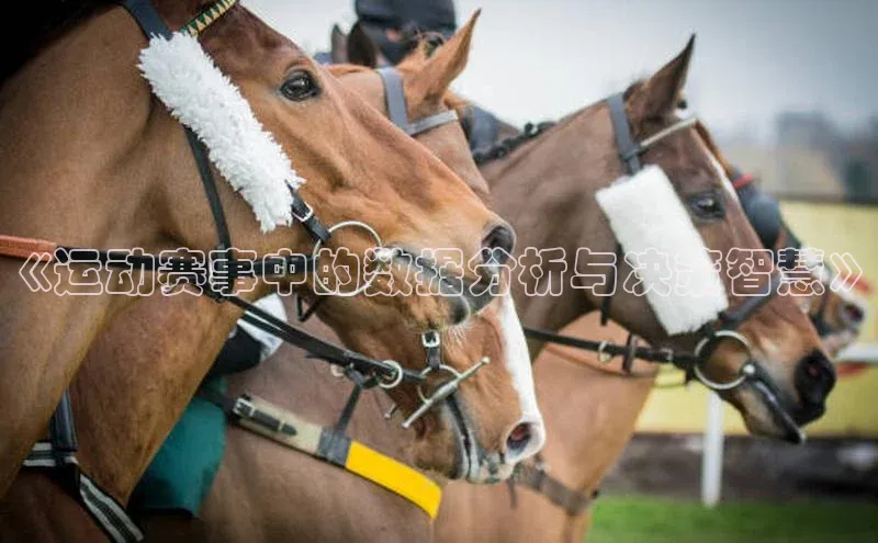 杏宇代理登录中心