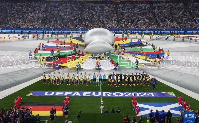 杏宇注册平台登录