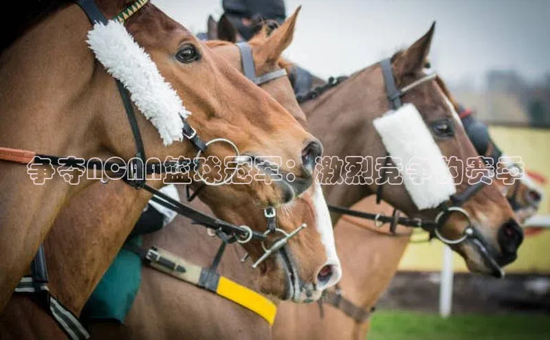 杏宇平台登录入口注册账号