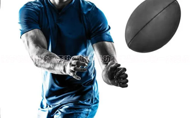 杏宇代理登录中心