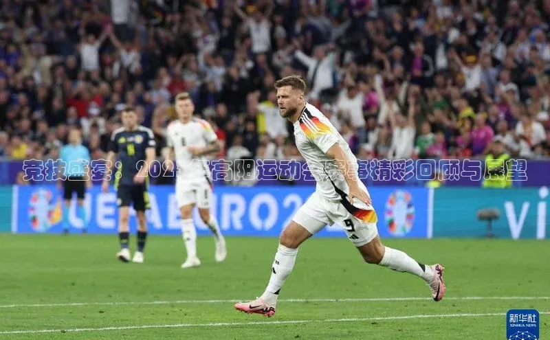 杏宇代理登录中心