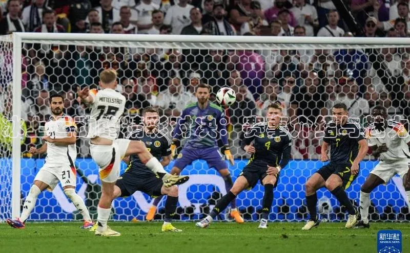 杏宇娱乐平台登录