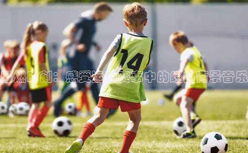 杏宇平台登录入口注册账号