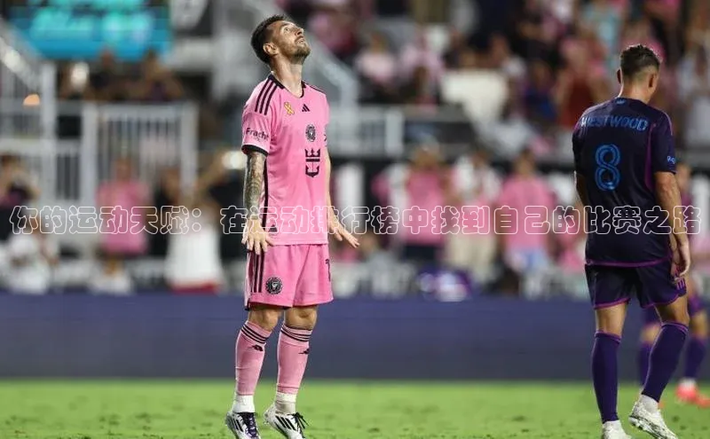 杏宇平台登录入口2024最新版