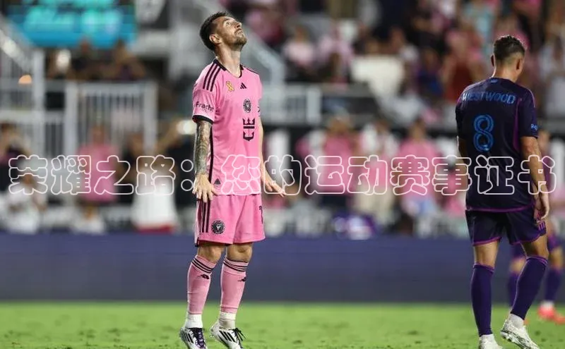 杏宇平台登录入口注册账号