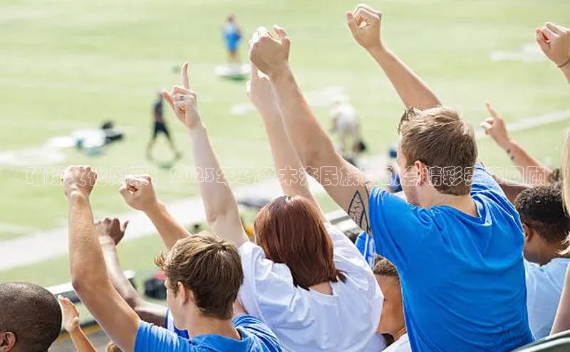 杏宇平台登录入口2024最新版