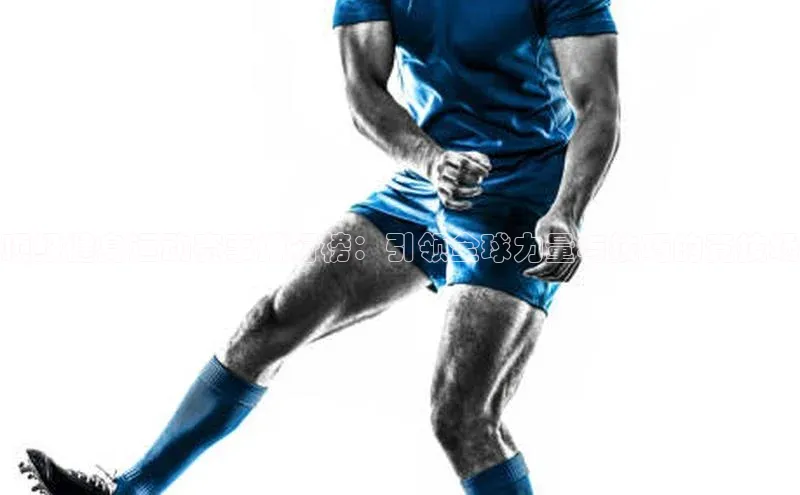 杏宇平台登录入口2024最新版