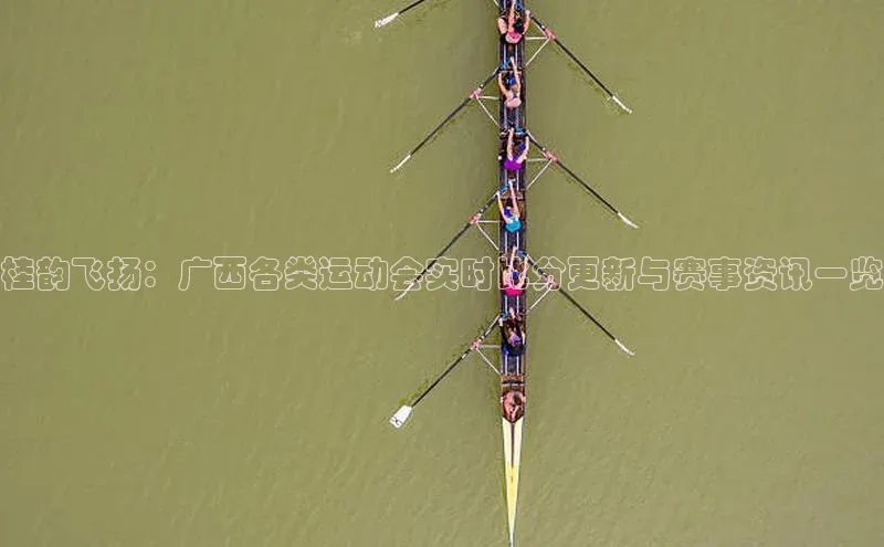 杏宇注册平台登录