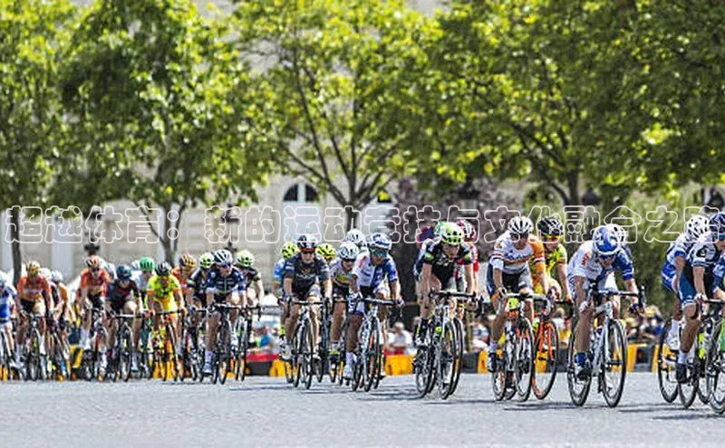 杏宇平台代理注册