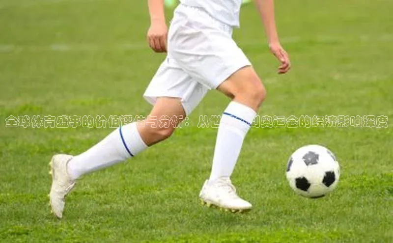 杏宇代理登录中心