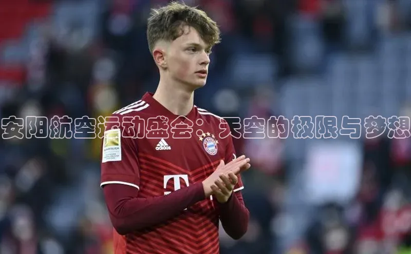 杏宇平台登录入口注册账号