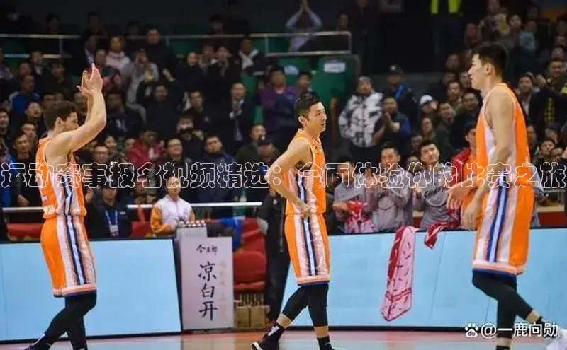 杏宇娱乐