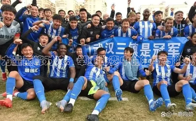 杏宇平台登陆
